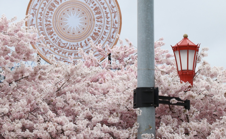 Seattle Chinatown-International District